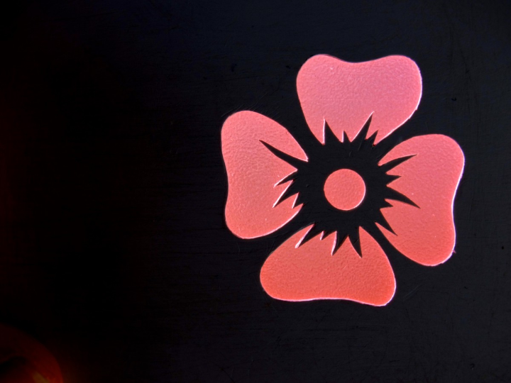 top 5 los mejores contornos de ojos veganos del mercado analisis y comparativa