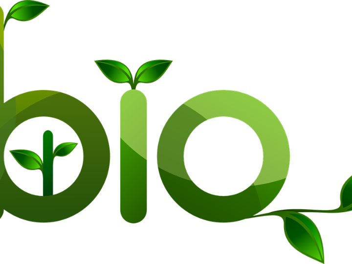 un antiorines 100 ecologico que ayuda a los ayuntamientos a ahorrar en mobiliario urbano