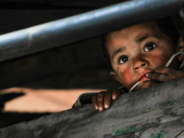 undaria pinnatifida wakame 1 kg mitoku kunga