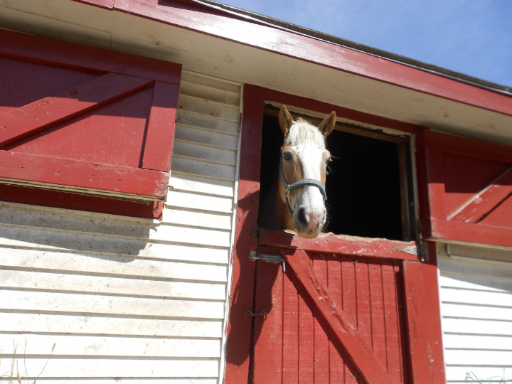 valvula manual 4 2 vias rotativas 2 posiciones estables ref 12v1 l1 4 no aignep