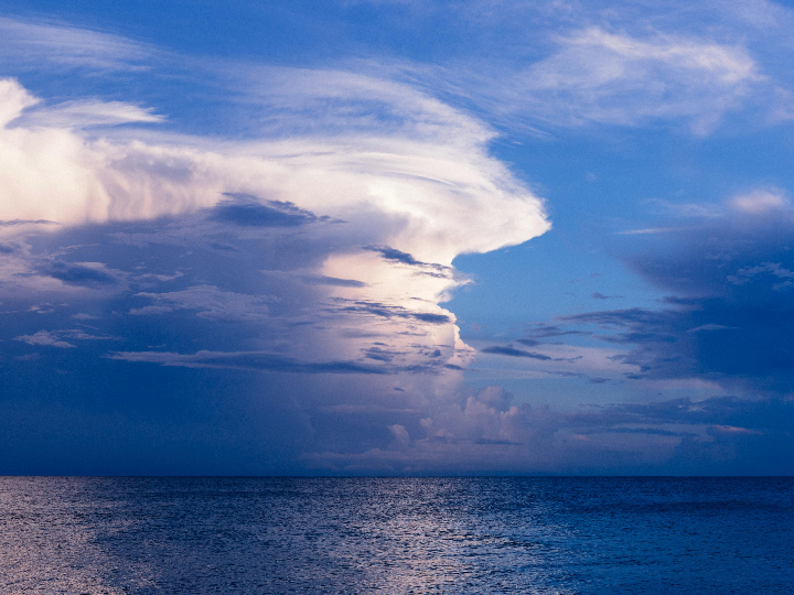 vinos tranquilos una guia completa para entender su variedad