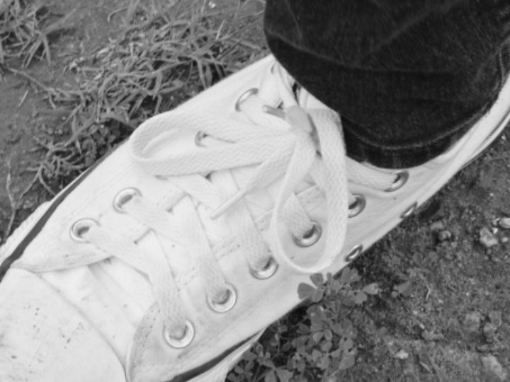 x bionic lanza su primera zapatilla de trail running terraskin