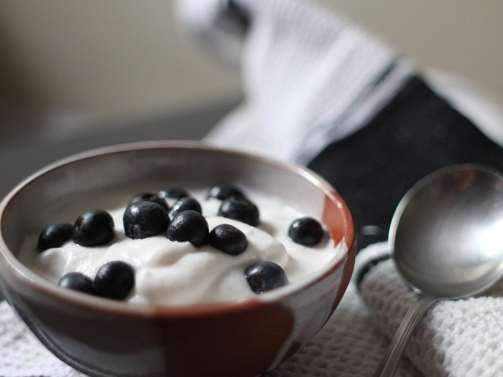 yogures sin lactosa lidl