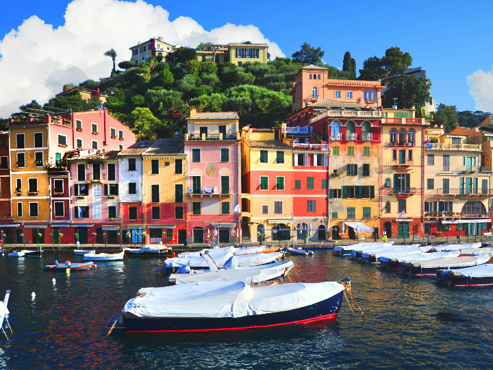 zapatos barefoot be lenka diva dark brown