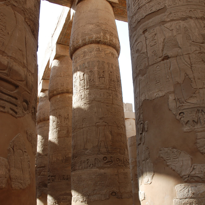 zoocosis de estela de castro